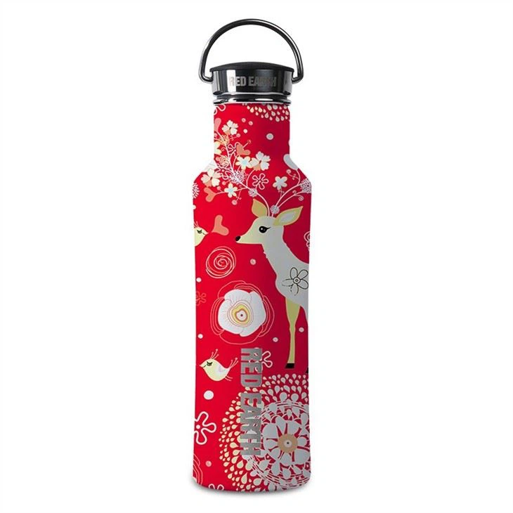 Stainless Steel Bottle